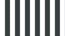 Big Stripes - Vit/Mörkgrå