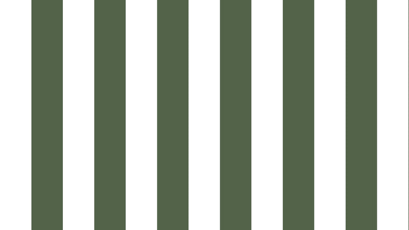 Big Stripes - Vit/Olivgrön X-Large