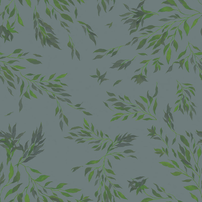 Spirea - Musgrå