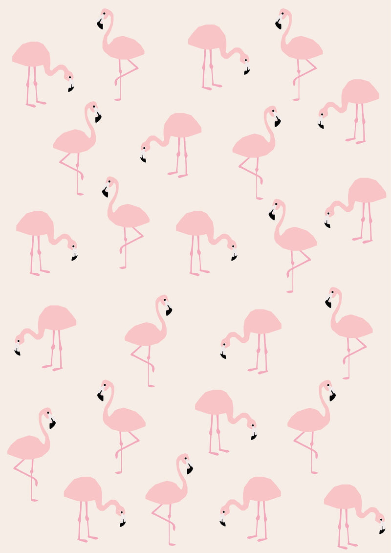 Flamingos