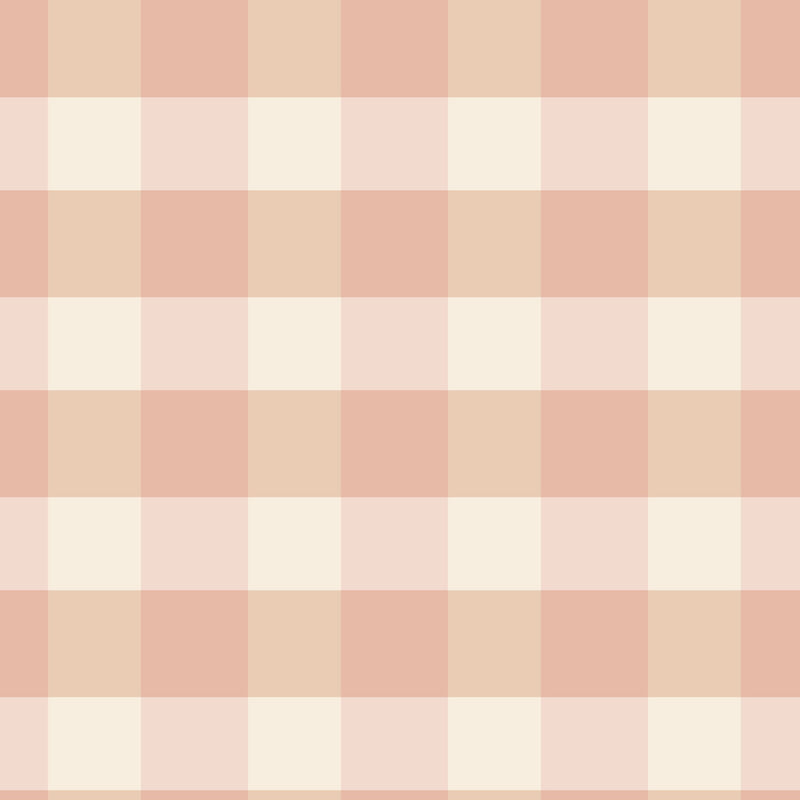 Gingham - Peach