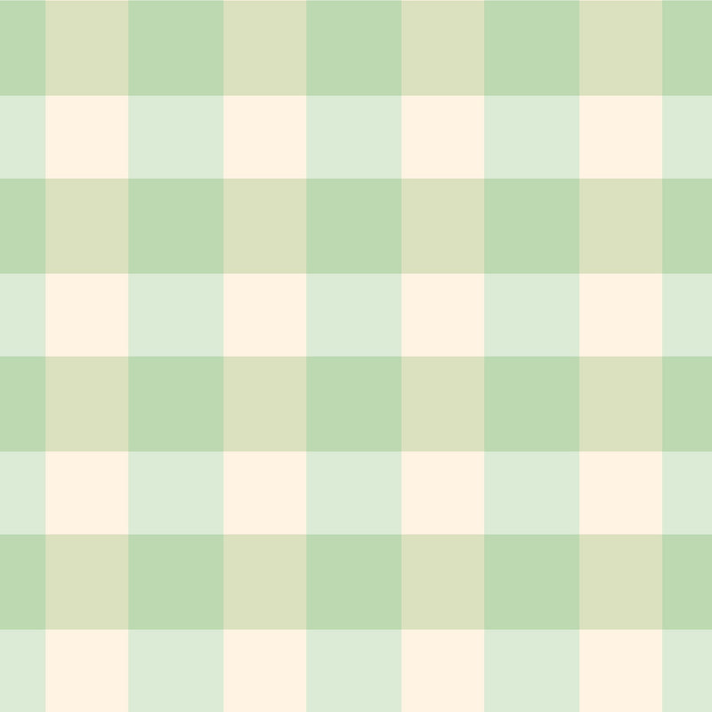 Gingham - Mint