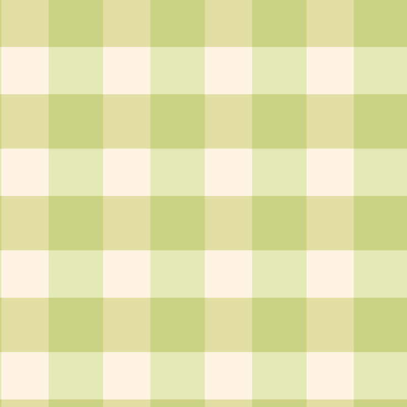 Gingham - Mint