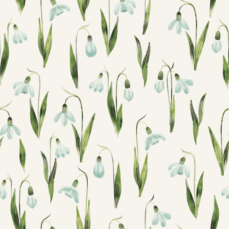 Snowdrops