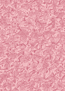 Orkidéblomster - Rosa