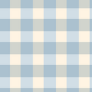 Gingham - Sky