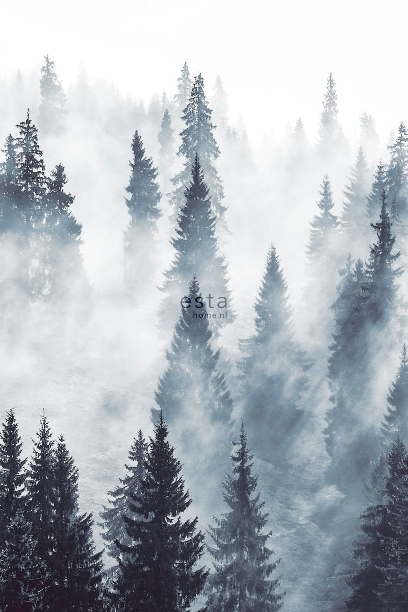 ESTAhome fototapet dimmig skog - grönt - Hemmavid.se