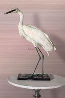 Origin tapet struktur med lutningsfärger - rosa - Hemmavid.se