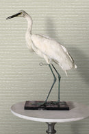 Origin tapet krokodilhud - vitt - Hemmavid.se