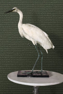 Origin tapet krokodilhud - mossgrönt - Hemmavid.se