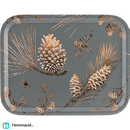 Åry Trays Pine cone "Mossgrå", Bricka - 36x28cm - Hemmavid